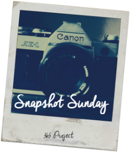  photo db520760-d679-4e4f-87e7-7bb7c003d26b_zps0ed093bc.png