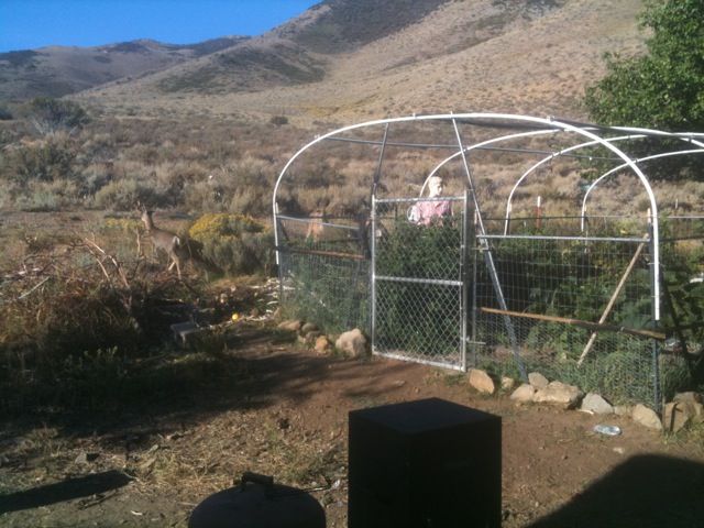 Getting Set Up For Deer Season - The Great Outdoors