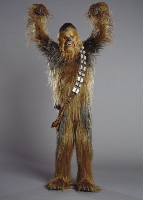 wookie-16745_zps9eee9c1d.jpg