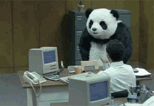 f-this-panda_zpsc16eb6f6.gif