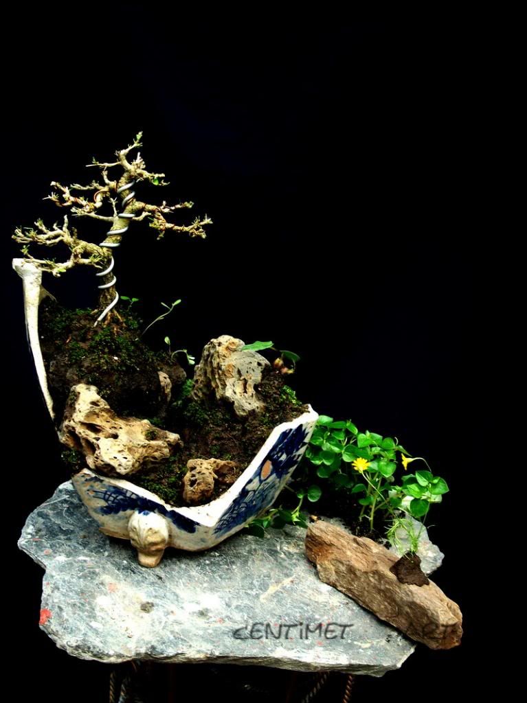 http://i1322.photobucket.com/albums/u566/centimetart/1-22_zpsdc006af1.jpg