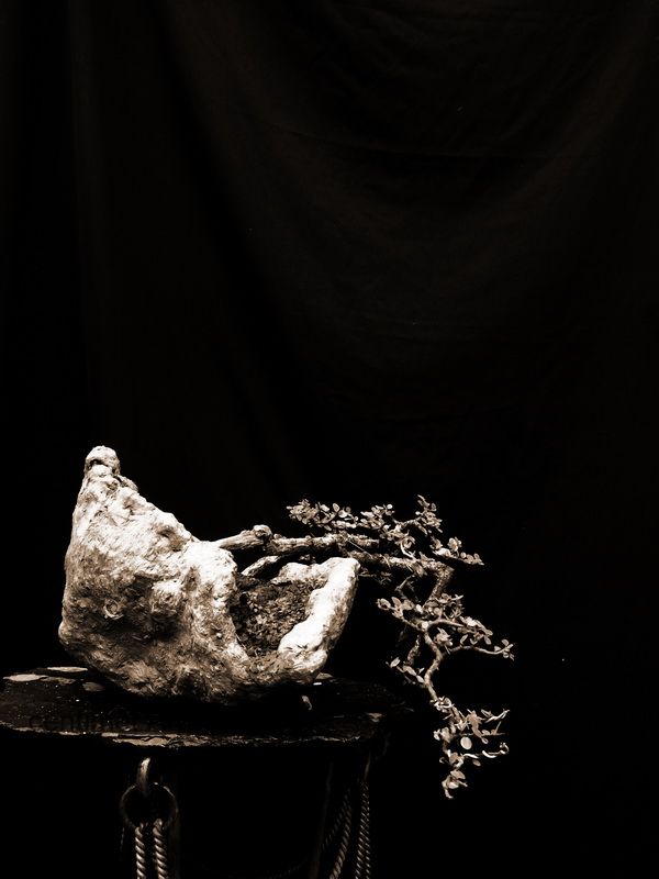 http://i1322.photobucket.com/albums/u566/centimetart/12-5_zps8ae9b518.jpg