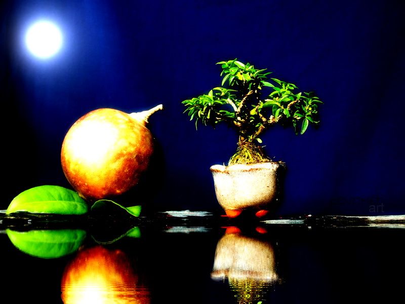 http://i1322.photobucket.com/albums/u566/centimetart/13-4_zpse7b01daa.jpg
