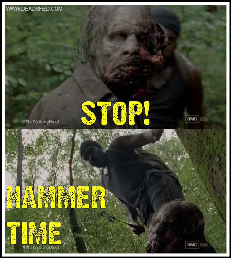 The_Walking_Dead_Season_3_Meme_Tyreese_Hammer_Time_DeadShed_zps3775a954.jpg
