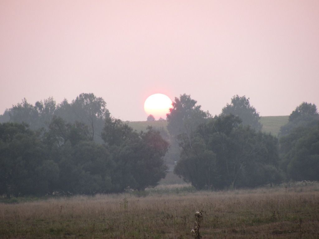 IMG_2644_zpsjcwdklrh.jpg