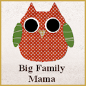 Big Family Mama