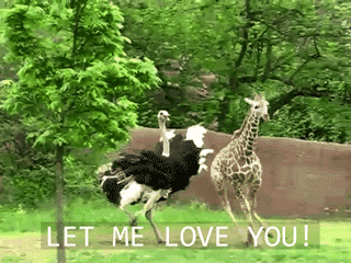 photo tumblr_inline_minom0glXl1qz4rgp_zpsa2290db9.gif
