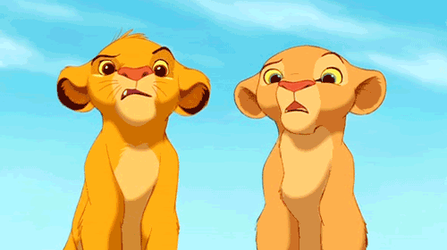photo tumblr_inline_mj62287P9S1qz4rgp_zpse420d7eb.gif