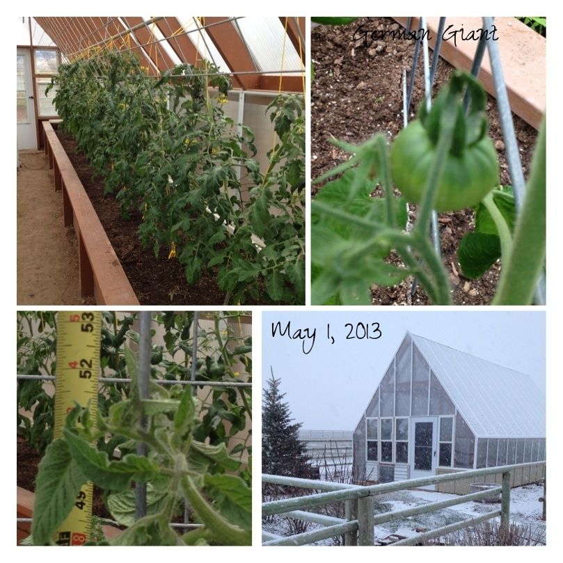  photo 88a0f4b1-d185-4a79-b64c-c76e8e0a35c2_zps9aa43479.jpg