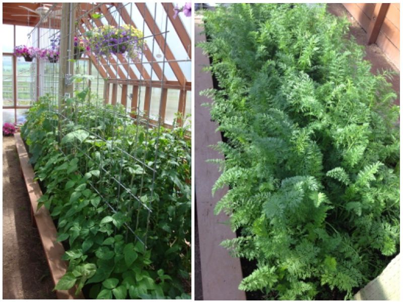  photo CollageIt_zpsc965c33b.jpg