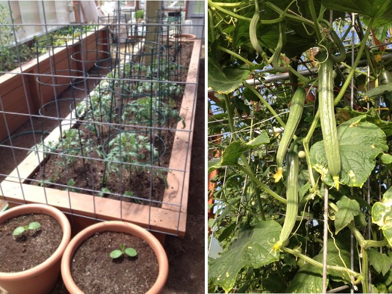  photo CollageIt_zpsd85b4b54.jpg