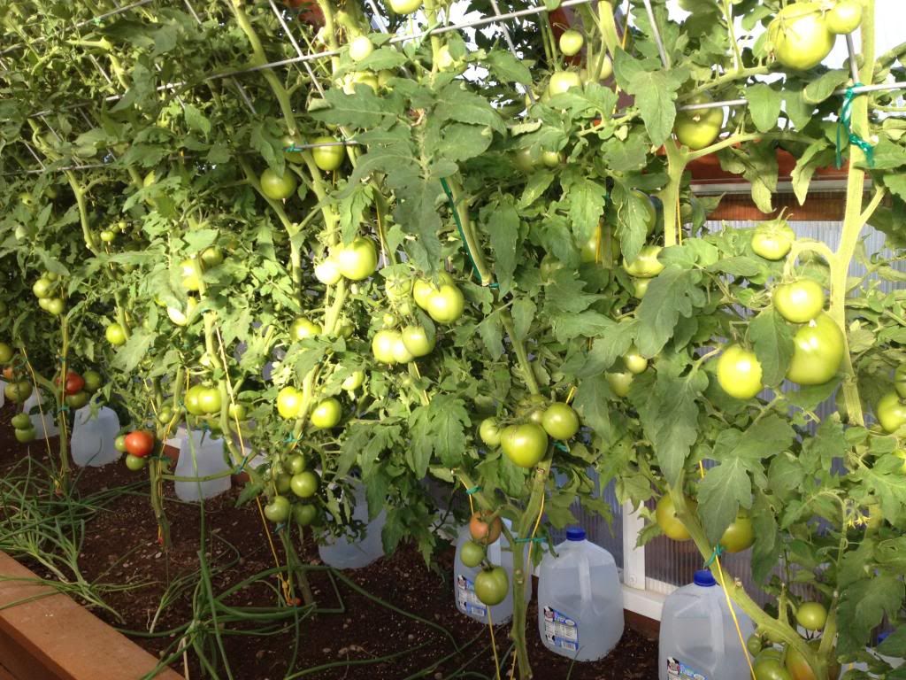  photo IMG_0163_zpsca5bdd5f.jpg