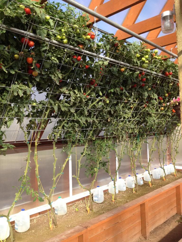  photo IMG_0255_zps69d42dc1.jpg