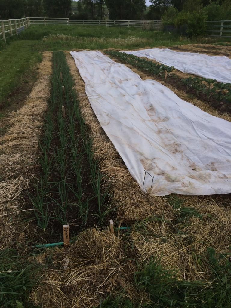  photo IMG_0668_zpsaa9372d0.jpg