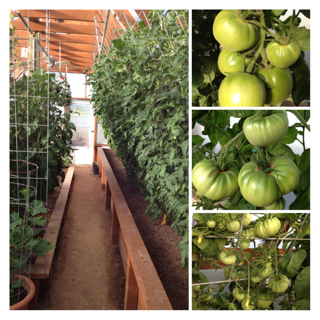  photo IMG_1222_zps868bb983.png