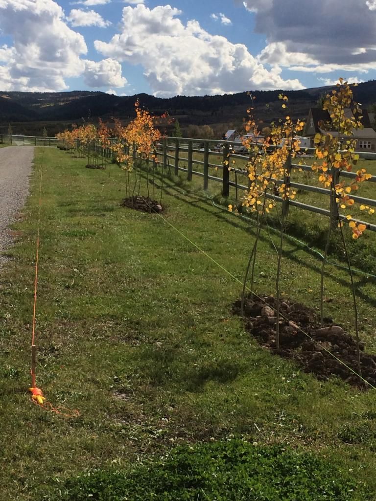  photo IMG_1320_zps0fdfc2d3.jpg