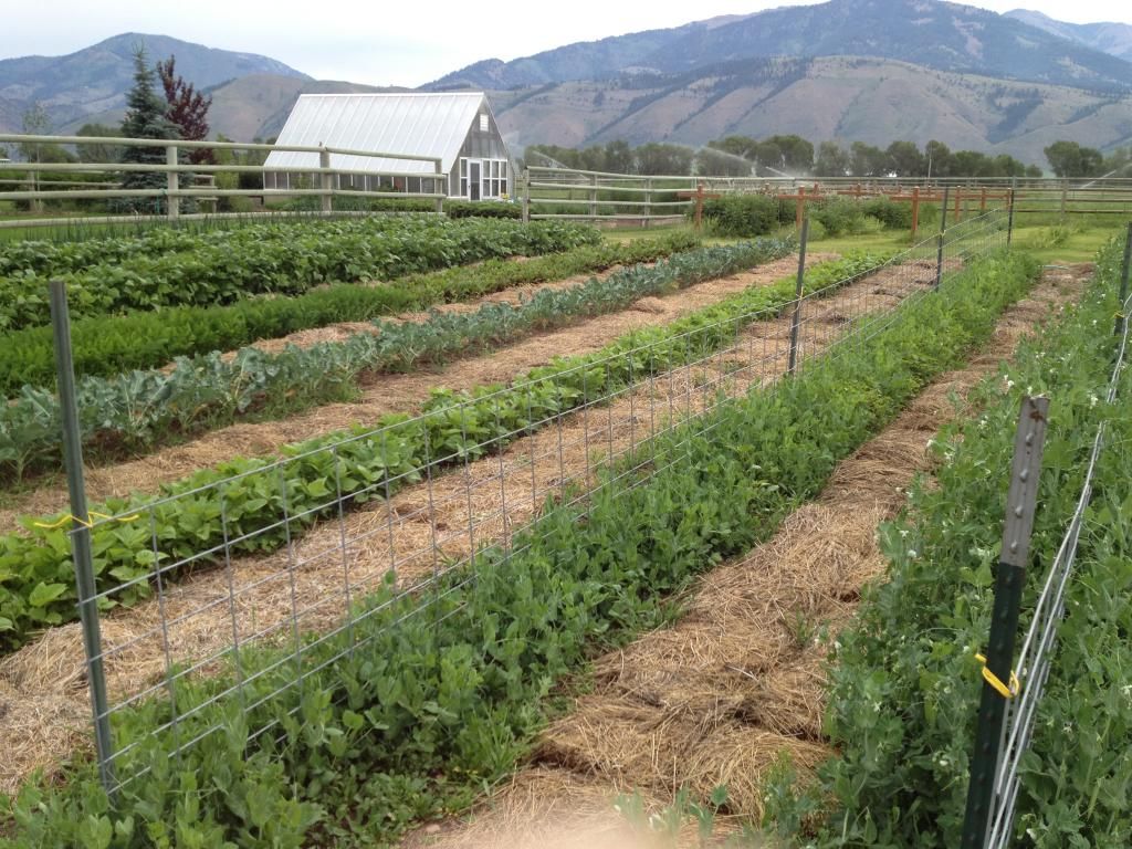  photo IMG_1514_zpsead28b53.jpg