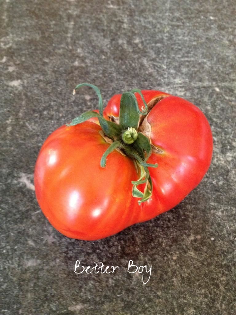  photo IMG_1636_zps32da8a41-1_zps914ec19b.jpg