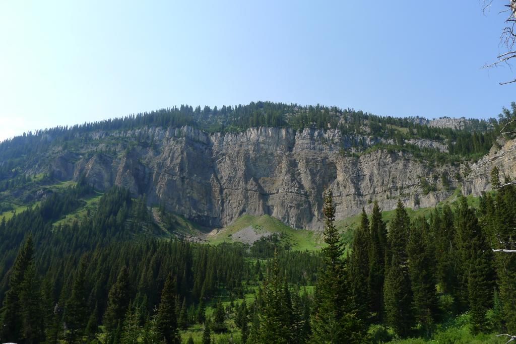  photo P1010316_zps870b96bd.jpg