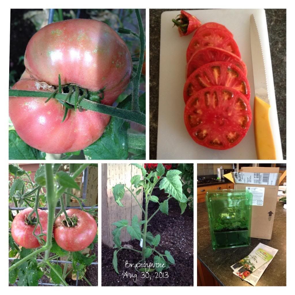  photo image_zps09183af1.jpg