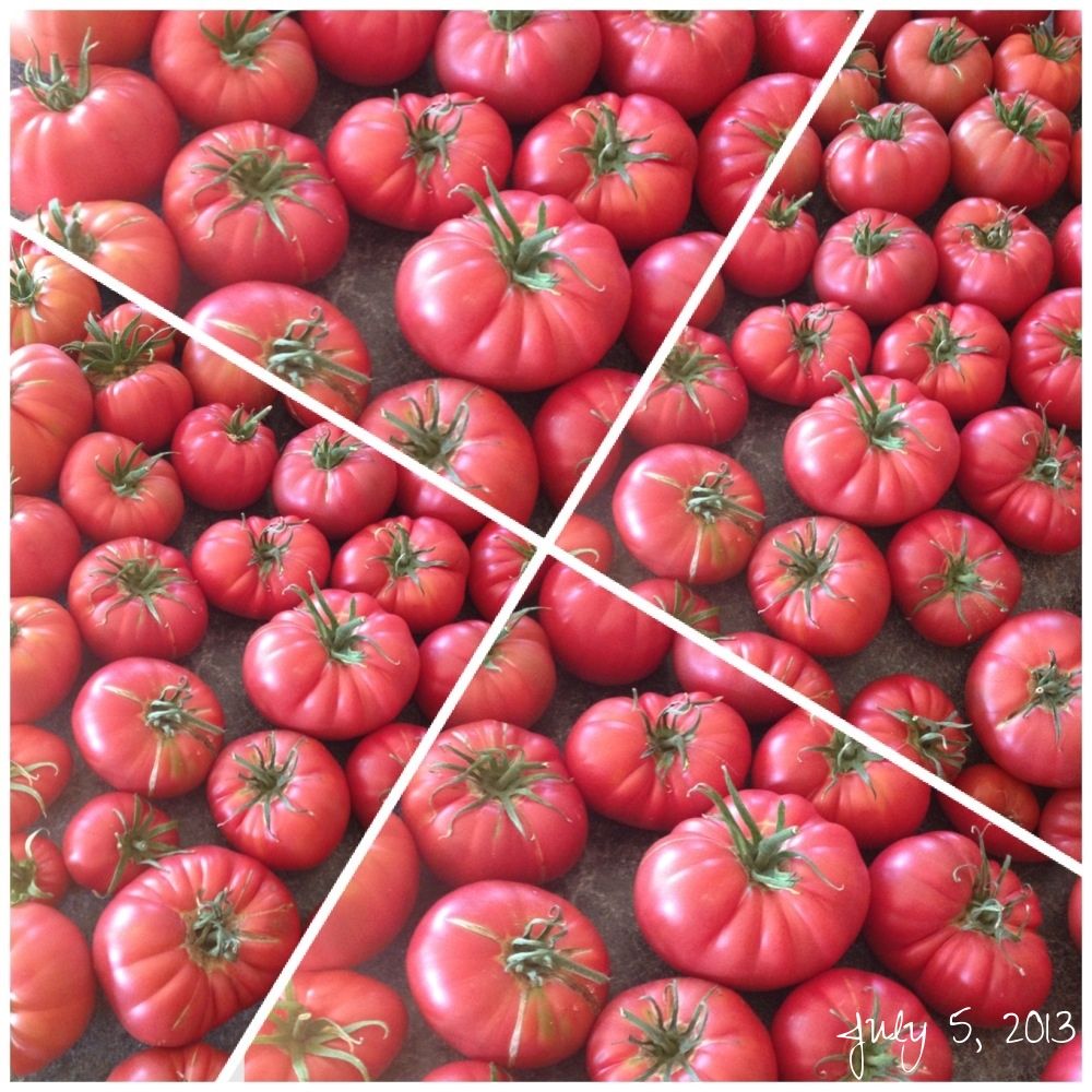 photo image_zps4f8397fa.jpg