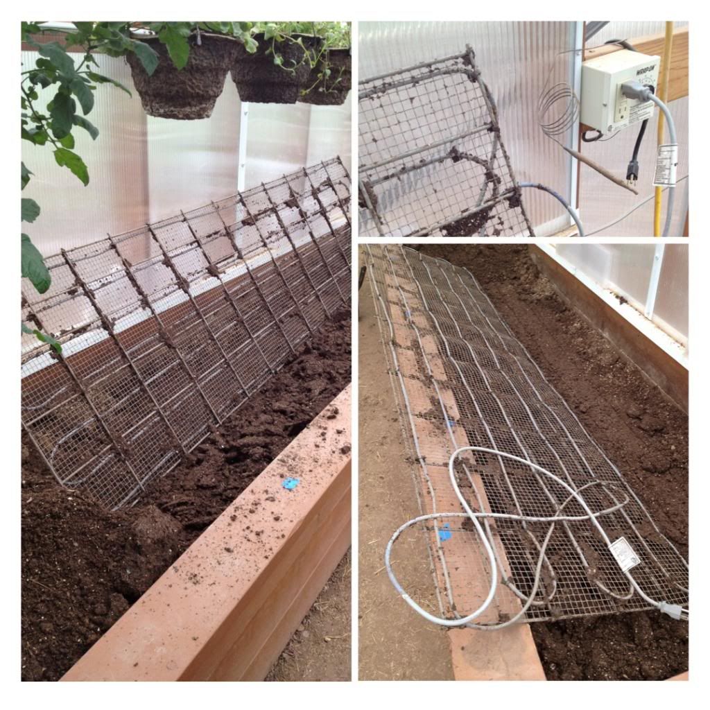  photo image_zps5ea627e2.jpg