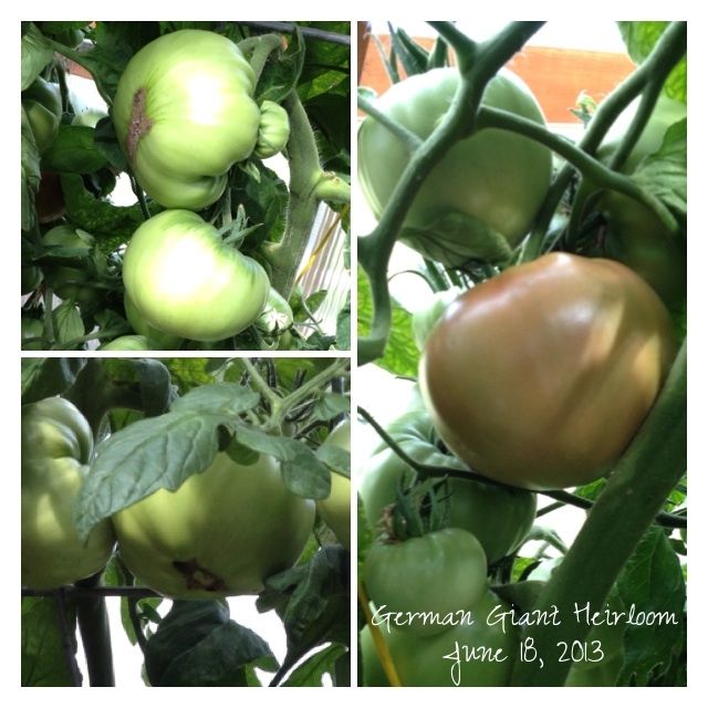  photo image_zps664a5544.jpg