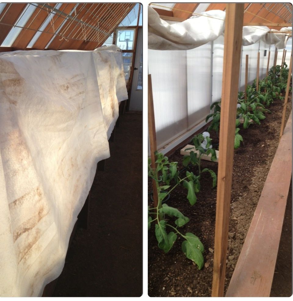  photo image_zps68479118.jpg