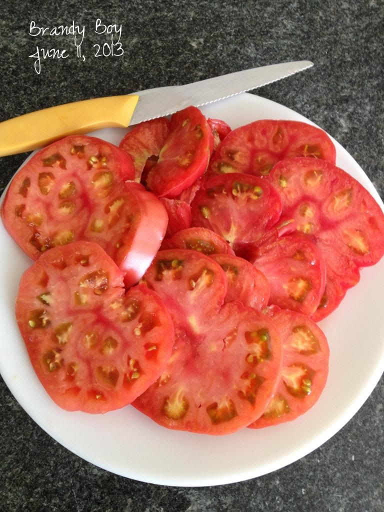  photo image_zps7c440a3b.jpg