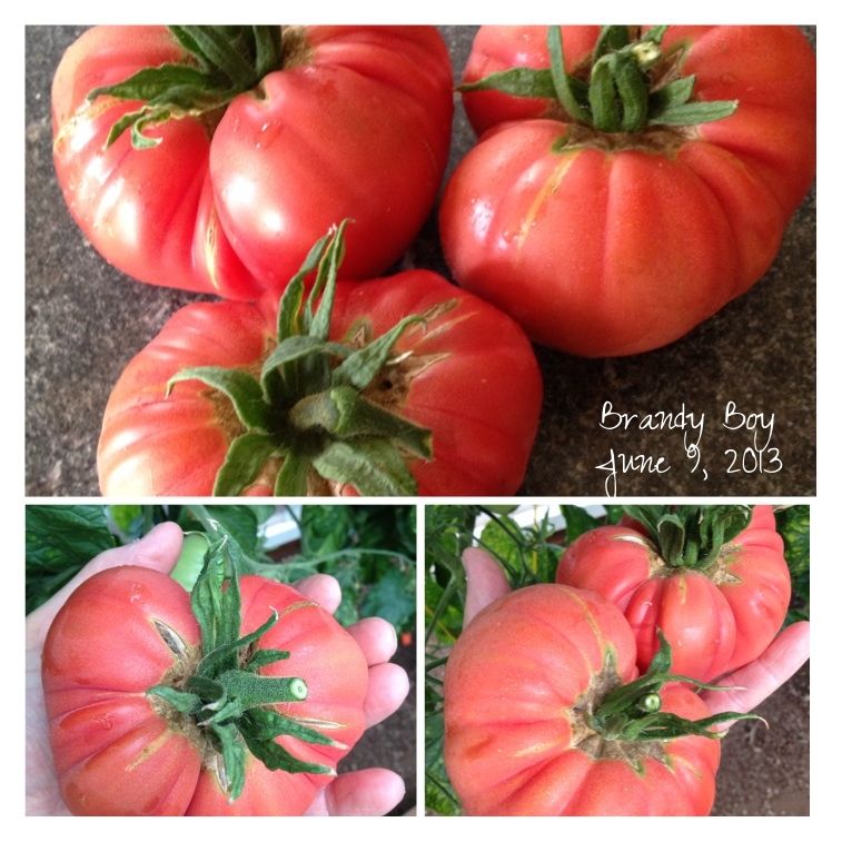  photo image_zps7e8574e5.jpg