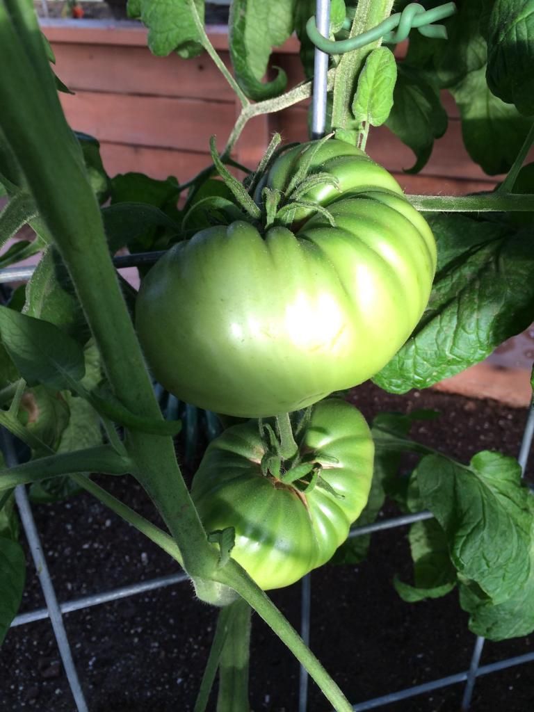  photo image_zps9225c4ea.jpg