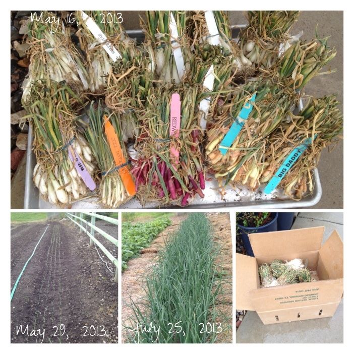  photo image_zps92e86b18.jpg