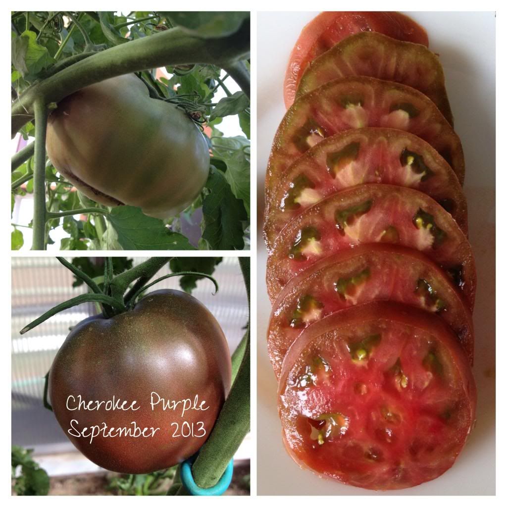  photo image_zps940b1b17.jpg