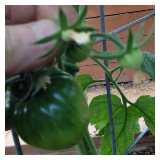  photo image_zpsb855c381.jpg