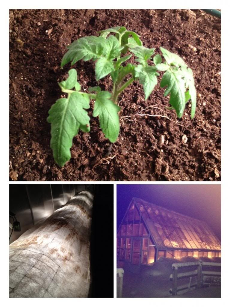  photo image_zpsb9e05bee.jpg