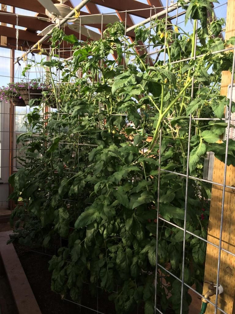  photo image_zpsd7cd19c3.jpg