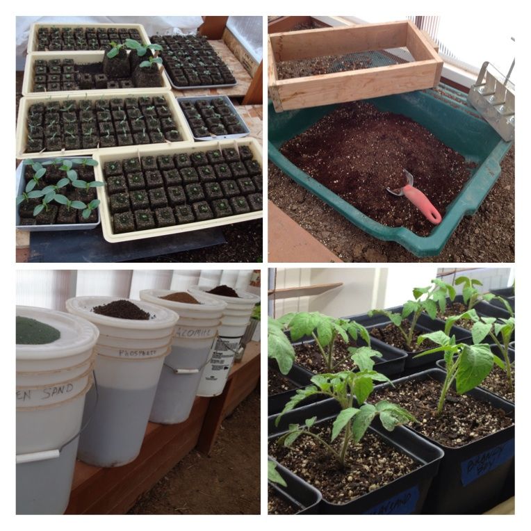  photo image_zpsec558017.jpg