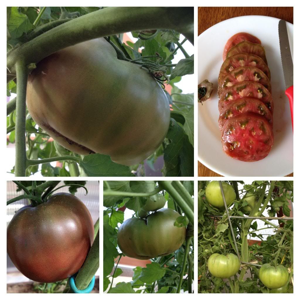  photo image_zpsf68da137.jpg