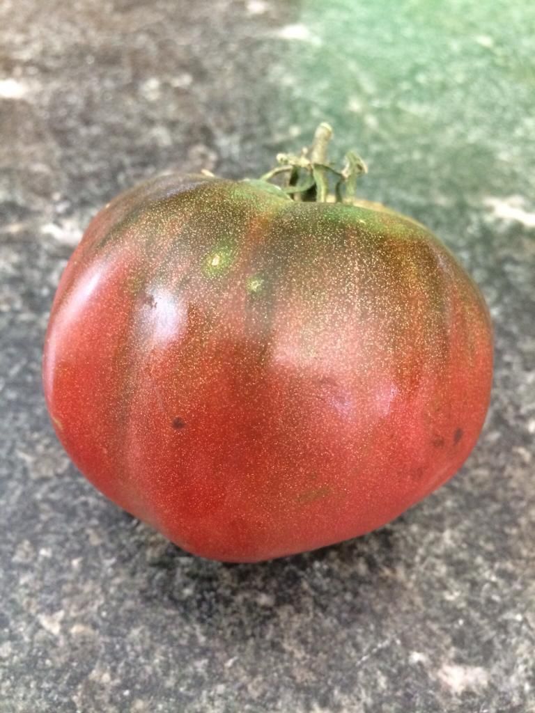  photo imagejpg1_zps47c6dbac.jpg