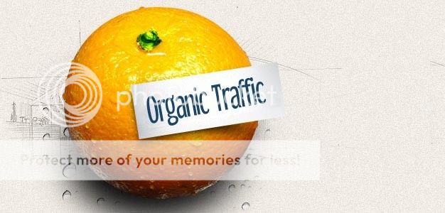 Get Free Organic Traffic