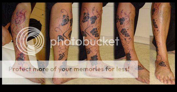 photo 15_zpseb584a3a.jpg